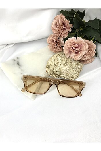 Di Caprio Elira Rectangle Retro Transparent Light Brown Women's Sunglasses