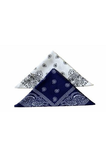 laviyonsa Pack of 2 Ethnic Pattern Woven Fabric Bandana & Scarf