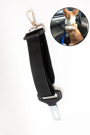 Ankaflex Car Vehicle Cat Dog Safety Harness Leash