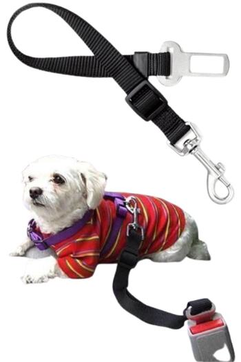 Ankaflex Car Vehicle Cat Dog Collar