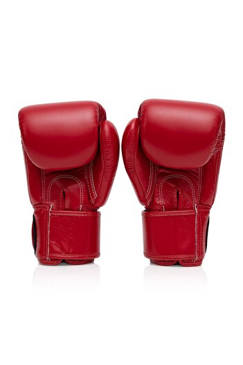 Fairtex Bgv1 Boxing Gloves Muay Thai Gloves