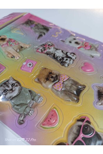 Cem Embossed Stickers A4 Size (2 Pieces)