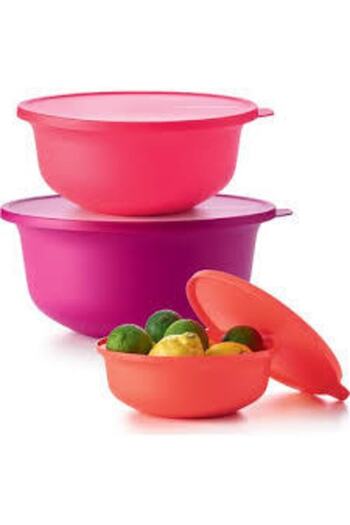 Tupperware Aloha Service and Storage Set 3 Pieces