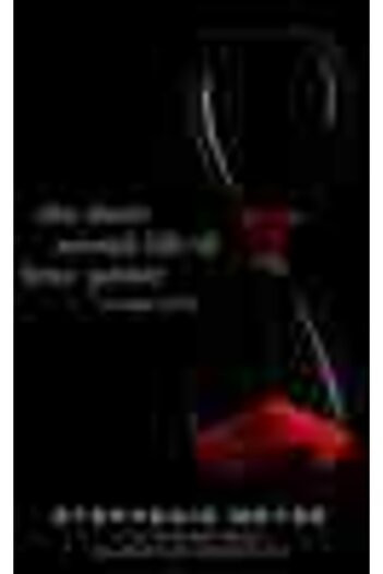 Atom Yayıncılık The Short Second Life Of Bree Tanner