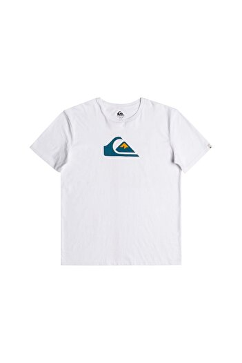 Quiksilver Complogo M Tees Men's T-shirt Eqyzt06534-wbb0