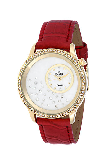 Dexter Women's Wristwatch DX.254.3R