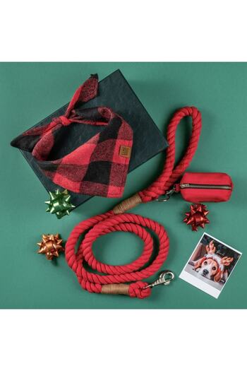 Lusi Doog Red Dog Walking Collar (Brown Detail) Dog Walking Strap Natural Cotton Rope Rope