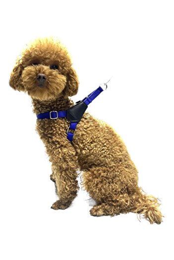 Lino Multi-Adjustable Chest Collar