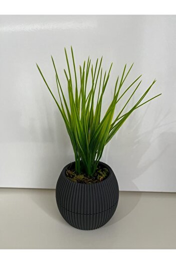 Trend KenT Mini Saksıda Yapay Çiçek Saz Grass Demeti Gerçek Yosunlu Mini Saksı Aranjman