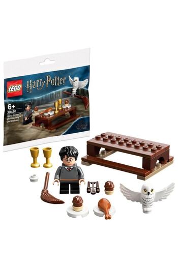 LEGO Harry Potter 30420 - Hedwig and the Owl Delivery