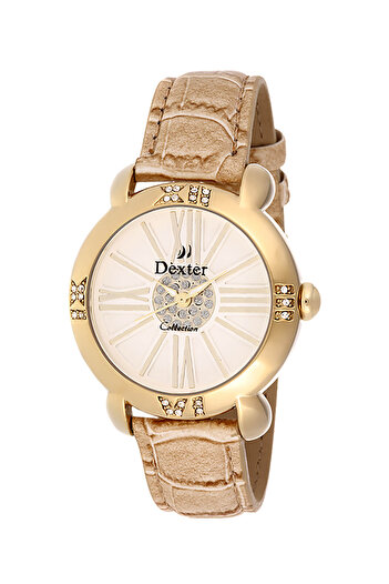 Dexter Women's Wristwatch DX.252.3CW
