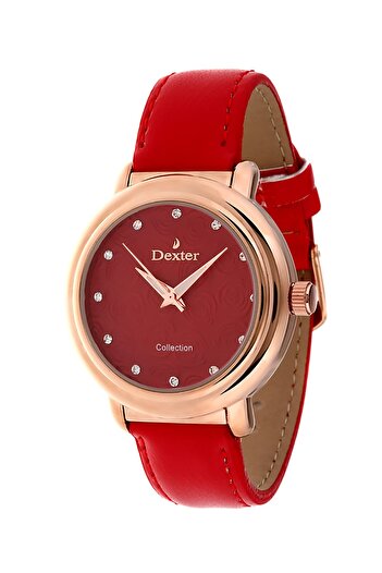 Dexter Women's Wristwatch DX.297.3RAA