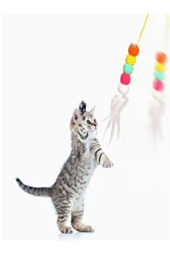 Dream Plus Elastic Cat Play Rod - Adhesive