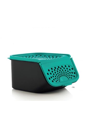 Tupperware Garlic Storage Container 3 liters