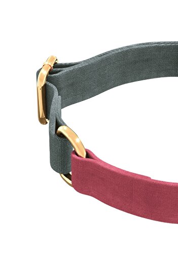 GoPawGo Charmed Supreme Cat Collar