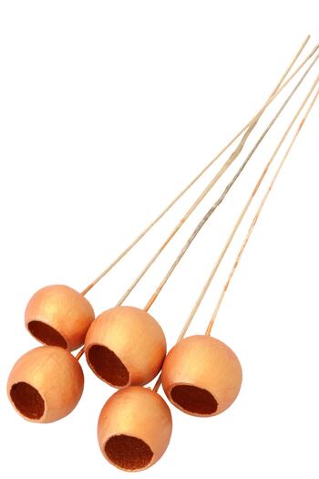 Yapay Çiçek Deposu Decorative Bell Cup 5pcs Tropic Pumpkin Copper