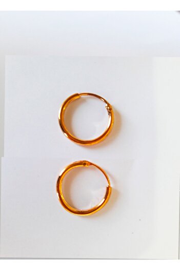 Pian Pian Gold Round Steel Hoop Earrings