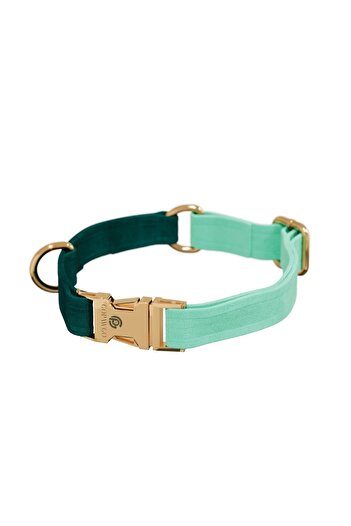 GoPawGo Charmed Shelby Cat Collar