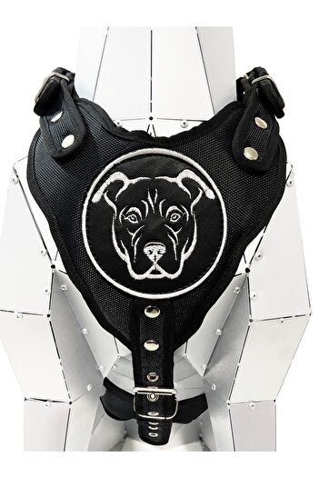 Tasma Market Black American Bully Dog Collar