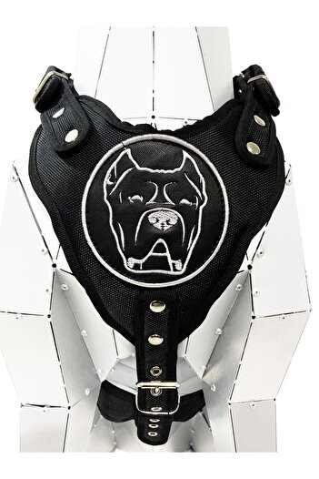 Tasma Market Black Cane Corso Dog Chest Collar Chest Collar