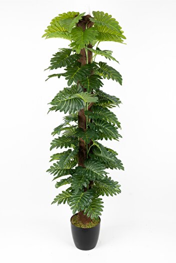 YAPAY ÇİÇEKÇİNİZ YAPAY MONSTERA AĞACI 150 CM