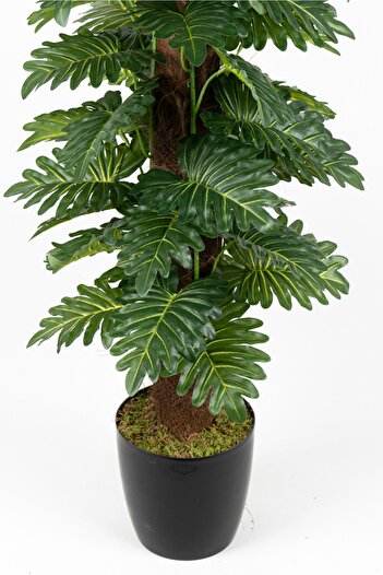 YAPAY ÇİÇEKÇİNİZ YAPAY MONSTERA AĞACI 150 CM