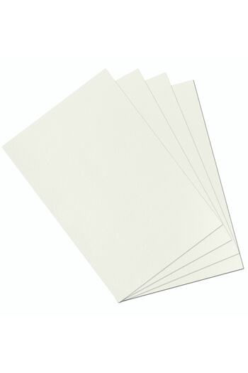 Alex Schoeller White Textured Schoeller Technical Painting Paper - 50X70, 200 Gr, Pack of 10