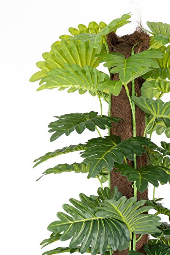 YAPAY ÇİÇEKÇİNİZ YAPAY MONSTERA AĞACI 150 CM