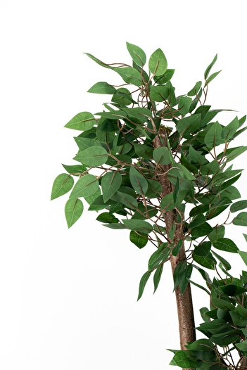 YAPAY ÇİÇEKÇİNİZ YOĞUN YAPRAKLI 2 GÖVDE YAPAY BENJAMİN AĞACI 110 CM