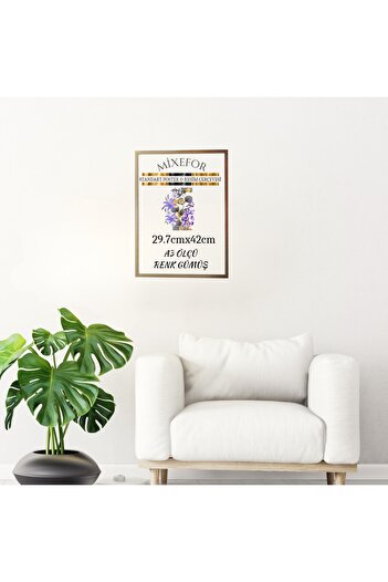mixefor BLANK FRAME IN A3 SIZES -DIPLOMA PHOTO PICTURE FRAME COLOR SILVER FRONT SURFACE ANTI-REFLECTIVE
