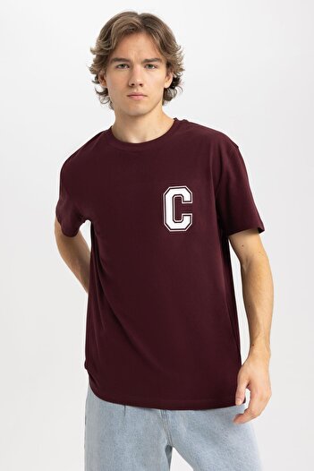 DeFacto Regular Fit Crew Neck Printed Short Sleeve T-Shirt A4007ax23hs