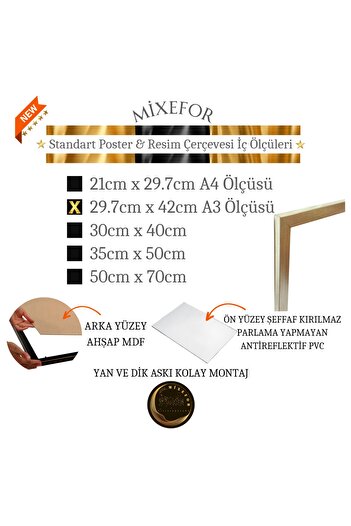 mixefor BLANK FRAME IN A3 SIZES -DIPLOMA PHOTO PICTURE FRAME COLOR SILVER FRONT SURFACE ANTI-REFLECTIVE