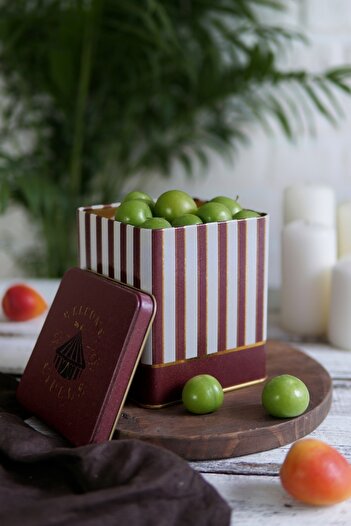 EVLE Er024-1f Circus Cream Patterned Square Metal Storage Container 12x12 Cm