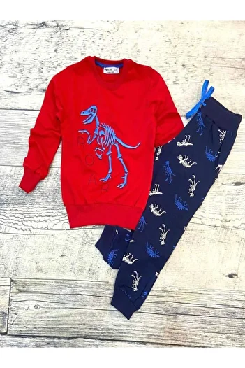 BD kids Boy's Dinosaur Skeleton Embroidered Set of 2