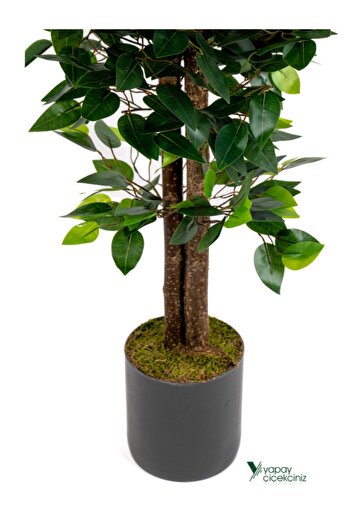 YAPAY ÇİÇEKÇİNİZ 2 Adet Gri Saksıda Çim Detaylı 100 Cm Yapay Benjamin ve Yapay Bambu Ağacı