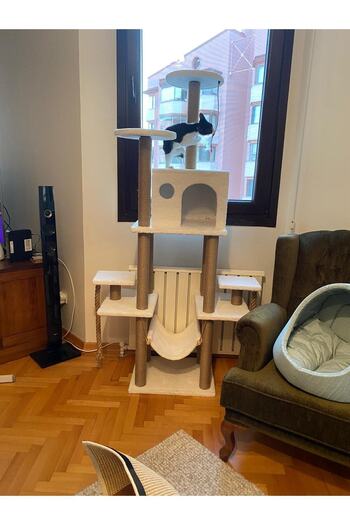 pethomealpi PETHOMEALPY Cat Scratching House and Play Platform 100% Warranty CUSTOMER MEMORY