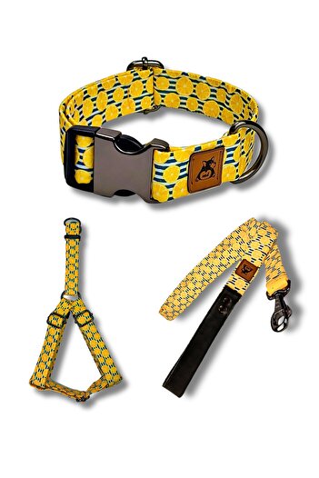 UTDpet Lemona Dog Collar and Travel Dispatch Strap Set (With Scarf Gift)