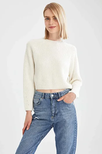 DeFacto Crew Neck Cool Regular Fit Sweater