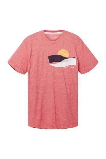 Tom Tailor T-Shirt gestreiftes Kurzarmshirt mit Rundhalsausschnitt und Foto-Print
