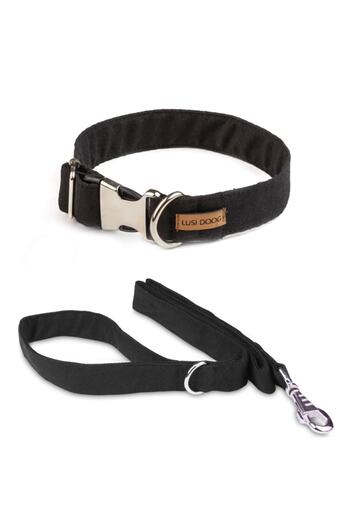 Lusi Doog Dog Collar and Travel Strap Set