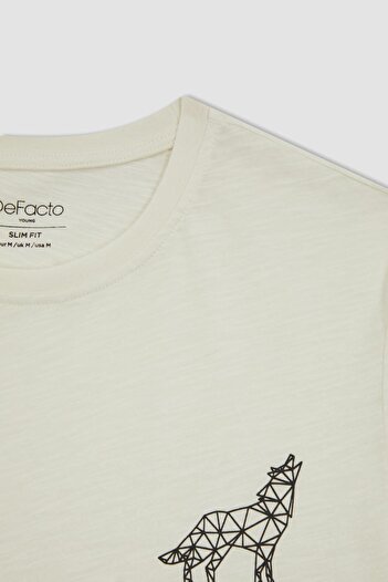 DeFacto Slim Fit Crew Neck Printed Short Sleeve T-Shirt A4031ax23hs