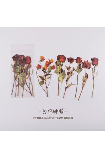 SF SCRAPBOOK KIRTASİYE Vintage Dried 6 Pieces Flower Pet Sticker/decal/label/journal/scrapbook