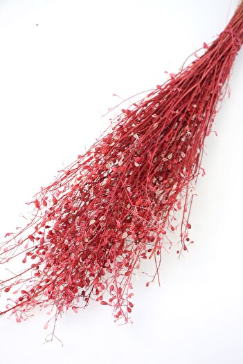 Yapay Çiçek Deposu Dried Flower Bud Herb Bunch 45 Cm Red