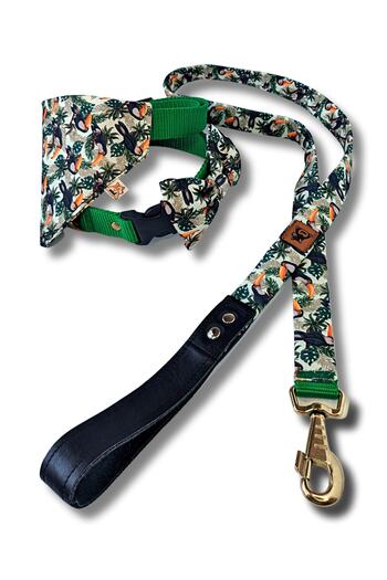 UTDpet Toco Standard Dog Collar Set and Accessories (with scarf and bow tie)