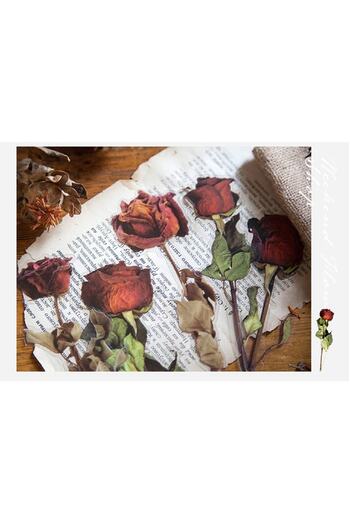 SF SCRAPBOOK KIRTASİYE Vintage Dried 6 Pieces Flower Pet Sticker/decal/label/journal/scrapbook
