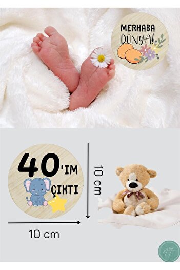 NT Handmade Animal Patterned Turkish Monthly Plaque Set Baby Photo Card Wooden Baby Memory Card Newborn Gift