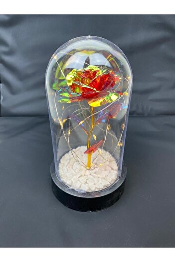 HKM Hobim Special Decorative Unfading Eternity Rose for Valentine's and Mother's Day Rose in a Bell Jar Bright Red