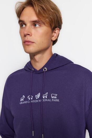 Trendyol Collection Μωβ φούτερ με κουκούλα με κουκούλα με φαρδιά κοπή TMNAW23SW00114