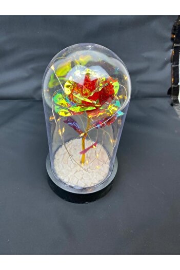 HKM Hobim Special Decorative Unfading Eternity Rose for Valentine's and Mother's Day Rose in a Bell Jar Bright Red