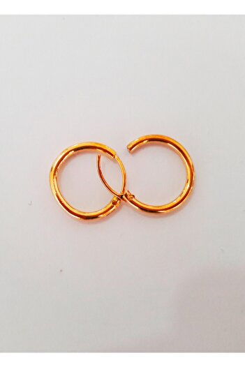 Pian Pian Gold Round Steel Hoop Earrings